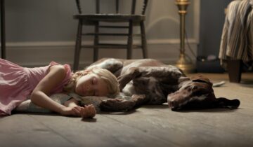 The Role of Routine in Pet Sleep